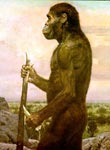 BURIAN. AUSTRALOPITHECINAE. *jpg, 587×800, 131 Kb