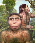 BURIAN. HOMO ERECTUS ERECTUS (" 17"). *jpg, 653×800, 184 Kb